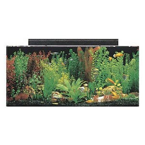 Zestaw SeaClear Aquarium Combo
