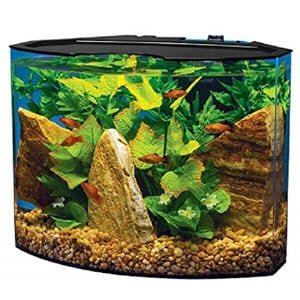 Akwarium Tetra Crescent