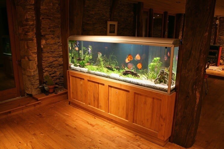 Sterylizator UV Discus Tank