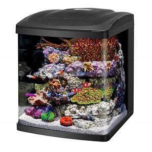 Akwarium Cube