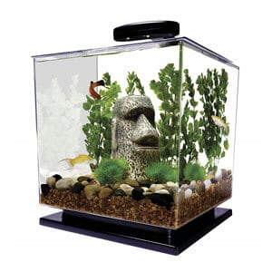 Akwarium Tetra