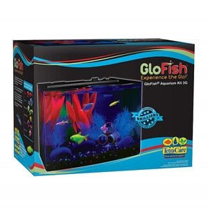 Akwarium GloFish