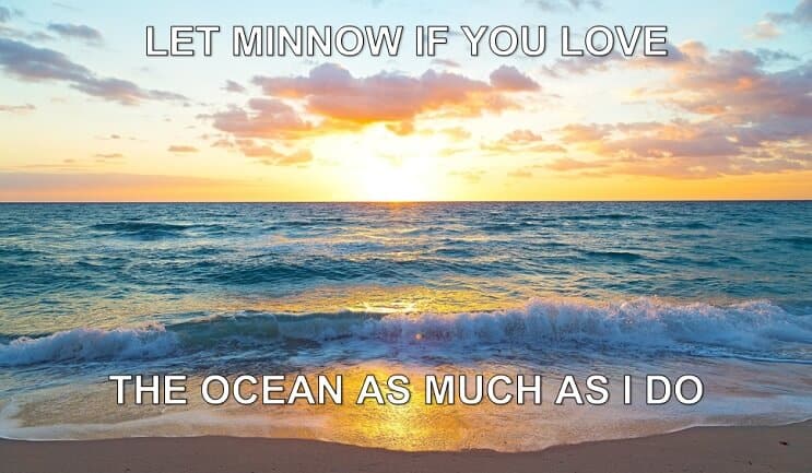 Niech Minnow