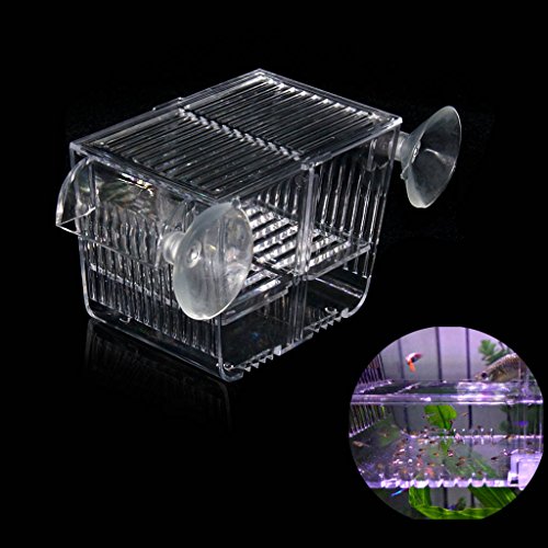 Boxtech Aquarium Fish Tank Inkubator Inkubator Inkubator, akrylowy biały rozdzielacz izolacji hodowlanej Pudełka wylęgowe Akcesoria Małe ryby dla niemowląt Krewetki Błazenek Gupik (5,2x2,7x2,9 '')