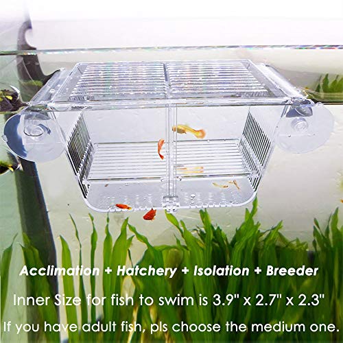 capetsma Fish Breeding Box, Akrylowa skrzynka do izolacji ryb z przyssawkami, Inkubator do wylęgarni aklimatyzacyjnej w akwarium dla małych rybek, krewetki, błazenki i gupiki. Mały rozmiar (S)