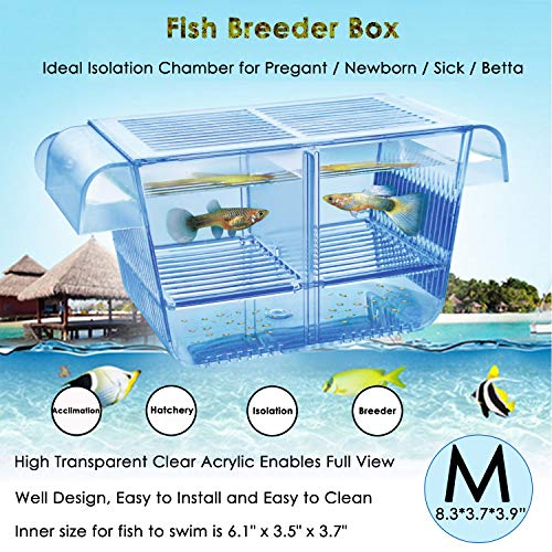 Capetsma Fish Breeder Box, Hang-on Nursery Fish Tank z inkubatorem hodowlanym, pojemnik do aklimatyzacji, idealny rozdzielacz akwarium dla agresywnych rannych ryb w ciąży solanka dla małych ryb krewetki błazen