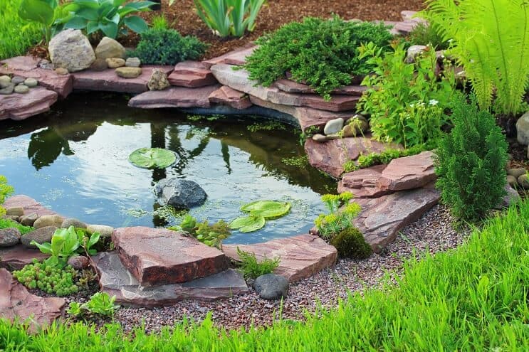 Instalacja Turtle Pond