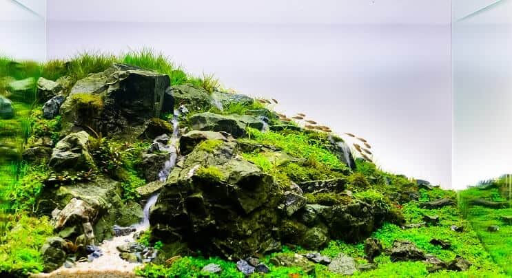 Akwarium Aquascape
