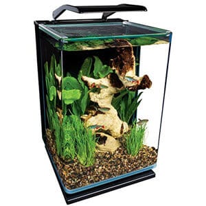 Małe akwarium idealne do blatu do paludarium